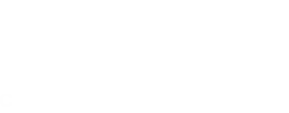 MWBE Certified logo