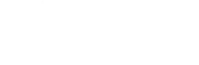 WBENC Member logo