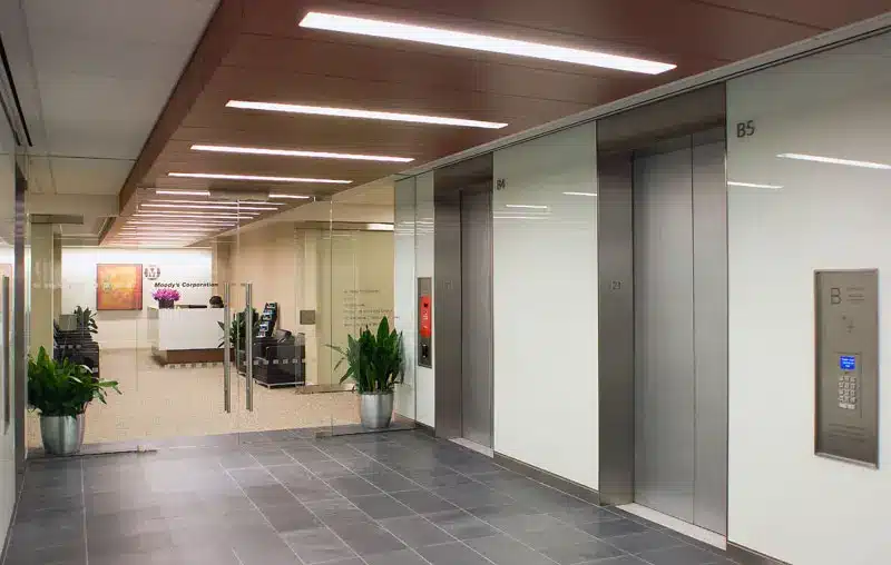 A modern office hallway with two elevators on the right, potted green plants on each side, and a glass wall revealing a reception area with a desk and chairs in the background.
