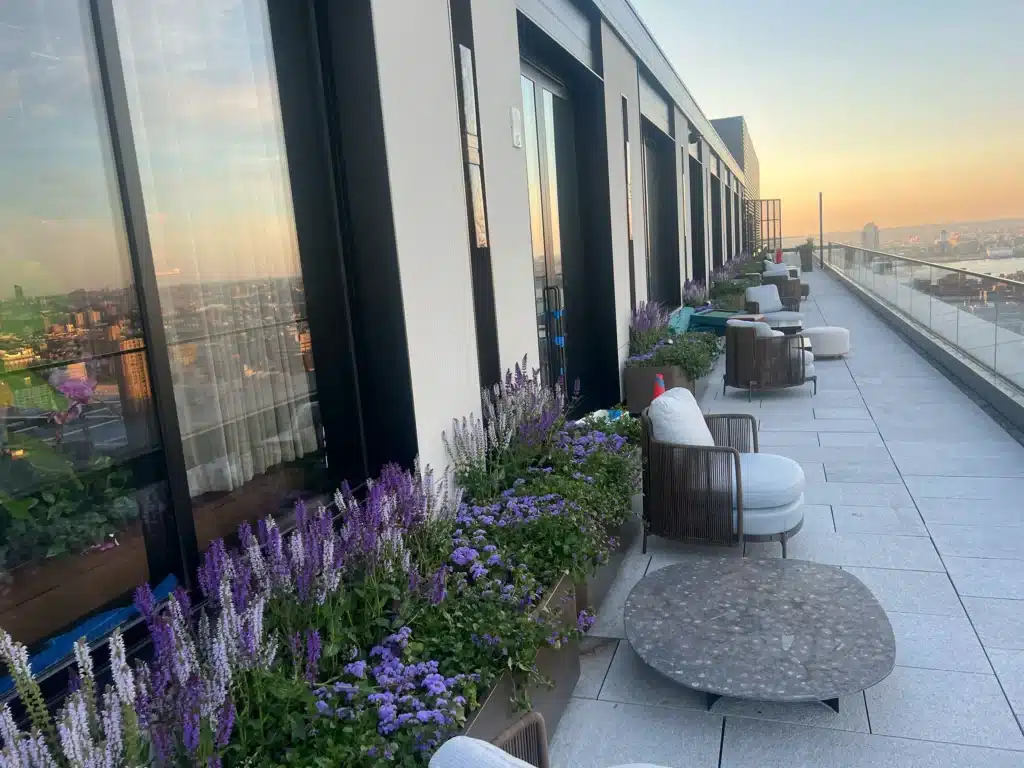 A rooftop terrace with modern seating, round tables, and flower beds full of purple and white blooms overlooks a cityscape at sunset. Glass railings line the edge, offering panoramic views.