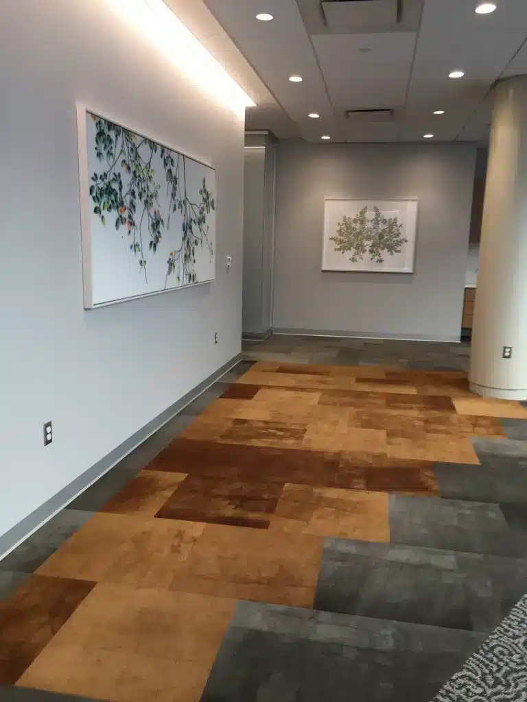 A hallway with a patterned brown and gray carpet, white walls, ceiling lights, and two framed botanical artworks hanging on the walls.